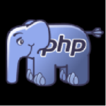 PHP Intelephense extension